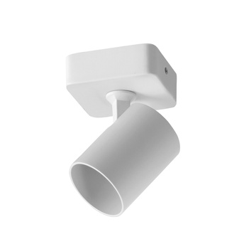 Lampa sufitowa/ścienna GOT B1 biały 1xGU10