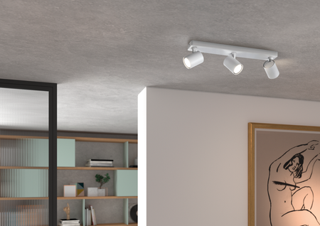 Lampa sufitowa/ścienna GOT R3 czarny 3xGU10