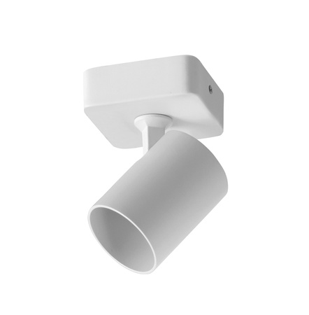 Lampa sufitowa/ścienna GOT B1 biały 1xGU10