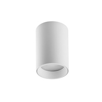 Lampa sufitowa łazienkowa GALILEO S biały mat GU10 ø60x85mm IP44